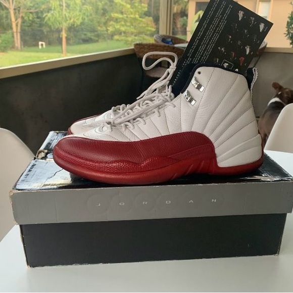 2009 Air Jordan XII “Cherry”